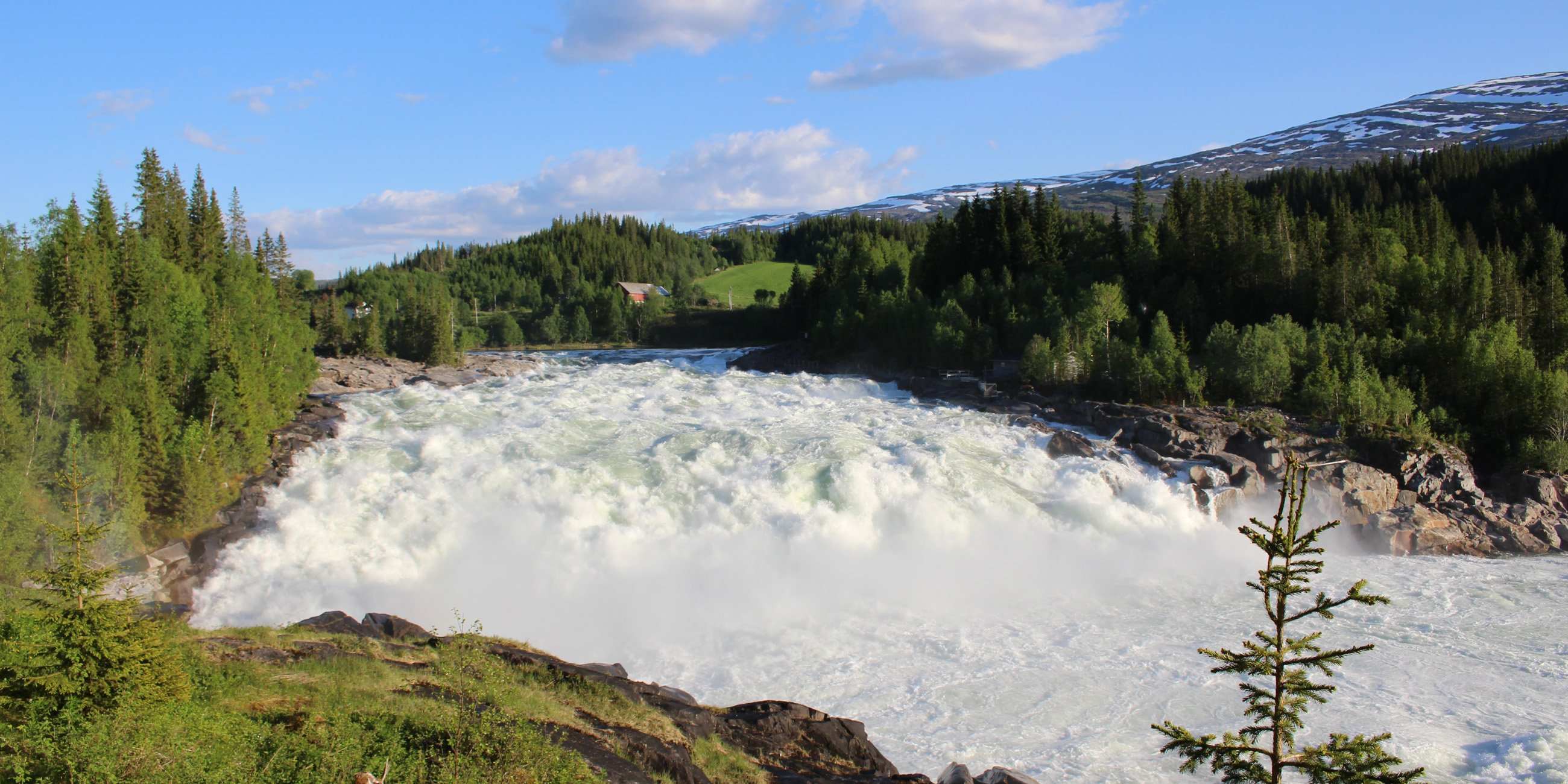 Foto: Helgeland reiseliv